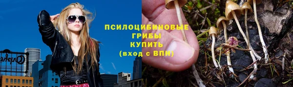 спиды Алексин