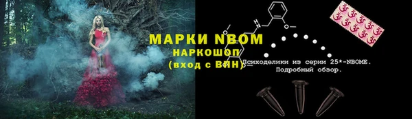 крисы Арсеньев